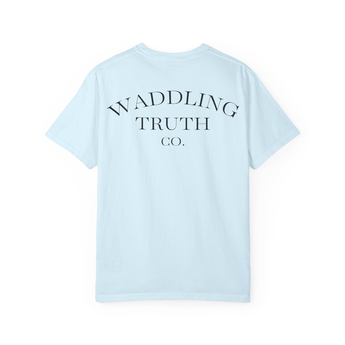 Overstimulated But Still In Charge T-Shirt